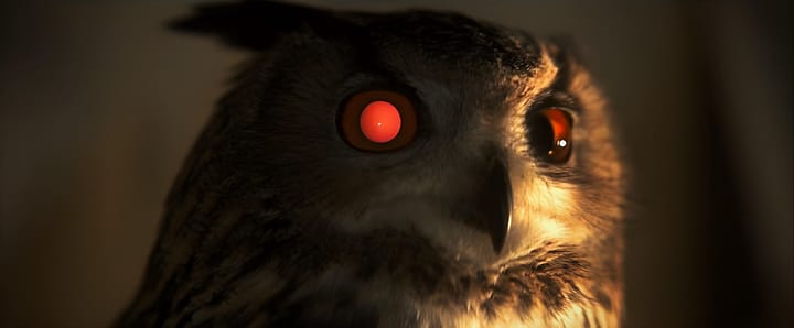 A Eurasian Eagle Owl, from the movie Blade Runner